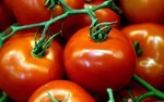 VEG BOX TRIAL LARGE  3 WEEK TRIAL 50% OFF 